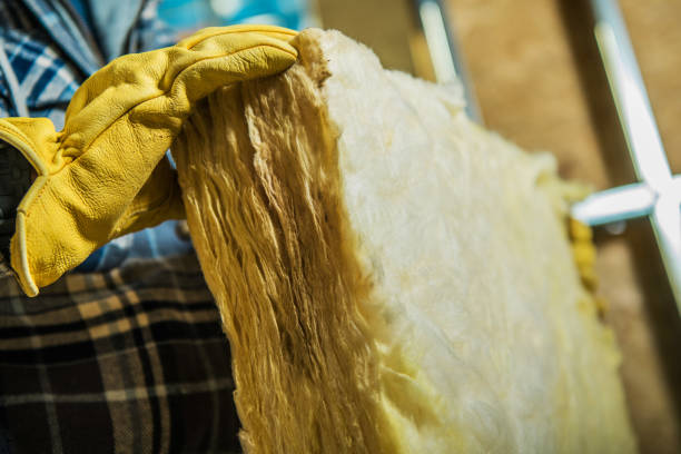 Types of Insulation We Offer in Dunkirk, MD